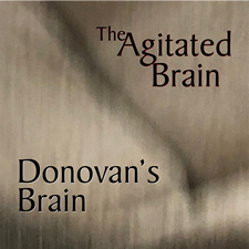 The-Agitated-Brain